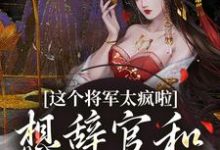 《这个将军太疯啦，想辞官和夫人贴贴》小说章节在线试读，《这个将军太疯啦，想辞官和夫人贴贴》最新章节目录-牛皮文学