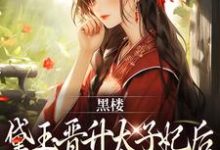 完结版《黑楼：黛玉晋升太子妃后，全员忏悔》免费阅读-牛皮文学