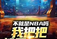 不就是NBA吗，我把把都是MVP完整版小说，不就是NBA吗，我把把都是MVP最新章节-牛皮文学