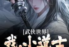 《武侠世界：我，小道士，已无敌》完整版小说免费阅读-牛皮文学