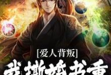 完结版《爱人背叛，我撕婚书重振王府之威》章节目录在线阅读-牛皮文学