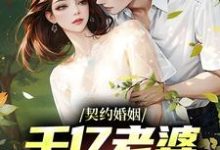 沈浪沈妙涵小说完整版《契约婚姻：千亿老婆太撩人》免费阅读-牛皮文学