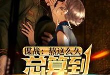 小说完整版《谍战：熬这么久，总算到美人计了》免费阅读-牛皮文学