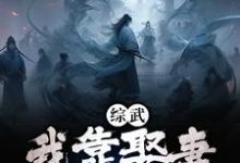 完整版《综武：我靠娶妻福气缠身》小说免费阅读-牛皮文学