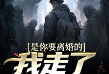 完结版《是你要离婚的，我走了你又哭？》在线免费阅读-牛皮文学