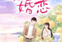 完结版《恶俗婚恋》章节阅读-牛皮文学