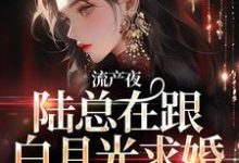 许书意陆承胤完整版《流产夜，陆总在跟白月光求婚，我不干了》小说免费阅读-牛皮文学