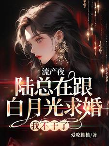 许书意陆承胤完整版《流产夜，陆总在跟白月光求婚，我不干了》小说免费阅读