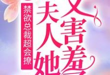 《禁欲总裁超会撩，小夫人她又害羞了》小说免费阅读完整版-牛皮文学