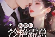 《闪婚后，冷艳霸总宠妻无度》小说耿迟渊秦慕瑶章节章节免费在线阅读-牛皮文学