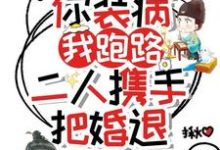 方詹宁楼允宸小说完整版《你装病，我跑路，二人携手把婚退》免费阅读-牛皮文学