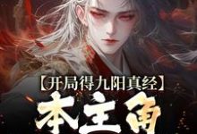 已完结小说《开局得九阳真经，本主角全程无敌！》在线章节阅读-牛皮文学