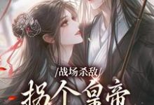 小说完整版《战场杀敌，拐个皇帝当男宠》免费阅读-牛皮文学