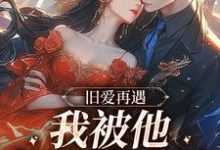 小说完整版《旧爱再遇，我被他钉在表白墙》免费阅读-牛皮文学