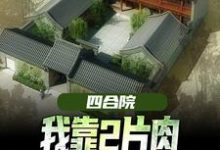 完结版《四合院：我靠2片肉俘获秦淮茹芳心》免费阅读-牛皮文学