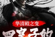 小说完整版《华清殿之变：四皇子的皇权之路》免费阅读-牛皮文学