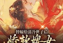 《替嫁给清冷世子后，娇软婢女要翻身》完整版小说免费阅读-牛皮文学