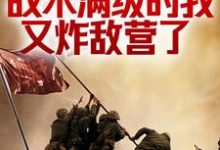 完整版《抗战：战术满级的我又炸敌营了》小说免费阅读-牛皮文学