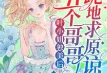 小说完整版《叶小姐独美后，五个哥哥跪地求原谅》免费阅读-牛皮文学