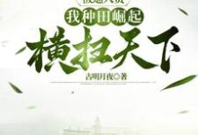 《被逼入赘，我种田崛起横扫天下》全集免费在线阅读（林枫）-牛皮文学