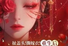 《扯盖头！撕嫁衣！重生后她不忍了》全集免费在线阅读（司若雪墨锦成）-牛皮文学