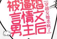 《被逼婚言情文男主后，穿越女她杀疯了》小说免费阅读完整版-牛皮文学