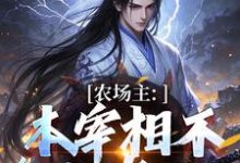 《农场主：本宰相不参与宫斗了》李善长朱元璋小说免费阅读完整版-牛皮文学