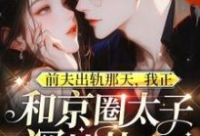 《前夫出轨那天，我正和京圈太子深情热吻》小说免费阅读完整版-牛皮文学