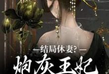 《结局休妻？炮灰王妃她力挽狂澜》小说章节在线试读，《结局休妻？炮灰王妃她力挽狂澜》最新章节目录-牛皮文学