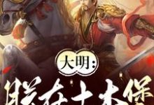 大明：朕在土木堡杀疯了章节免费在线阅读，朱祁镇完结版-牛皮文学