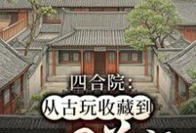 何雨生何雨柱小说四合院：从古玩收藏到世界首富在线阅读章节-牛皮文学