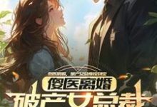 杨路年兮兮完整版《傻医离婚，破产女总裁捡到宝》小说免费阅读-牛皮文学