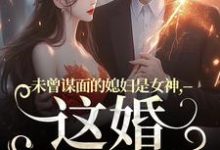 顾衍掣盛知夏完整版小说《未曾谋面的媳妇是女神，这婚不离了》免费阅读-牛皮文学