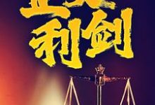 小说完整版《正义利剑》免费阅读-牛皮文学