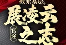 完整版《官途：被派基层，展凌云之志》小说免费阅读-牛皮文学