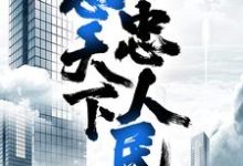 完结版《官者：忠天下，忠人民》在线免费阅读-牛皮文学