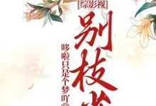 小说《综影视：别枝雀》章节免费阅读-牛皮文学