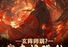 《玄阵师弱？我直接诛仙给你看》小说免费阅读完整版-牛皮文学