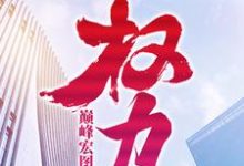 小说完整版《巅峰宏图之权力》免费阅读-牛皮文学