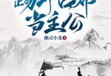 三国：踢开吕布当主公小说阅读，三国：踢开吕布当主公完结版-牛皮文学