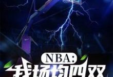 NBA：我场均四双，得分为零小说完结版章节免费阅读-牛皮文学