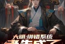 楚轩小说完整版《大明：绑错系统，老朱成了我岳父》免费阅读-牛皮文学