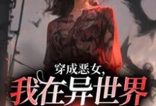 完结版《穿成恶女，我在异世界重拳出击！》在线免费阅读-牛皮文学