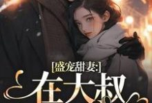 完结版《盛宠甜妻：在大叔怀里沦陷》在线免费阅读-牛皮文学