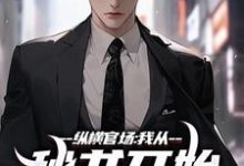 刘志高完整版《纵横官场：我从秘书开始强势崛起》小说免费阅读-牛皮文学