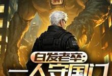 完结版《白发老卒：一人守国门弹指镇人间》在线免费阅读-牛皮文学