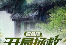 林平安小说完整版《四合院：开局拯救绝美小姨子》免费阅读-牛皮文学