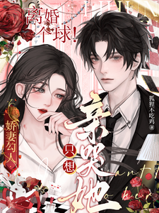 《娇妻勾人：离婚个球！只想亲哭她》宋书凝郁琛小说免费阅读完整版