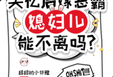 失忆后嫁恶霸，媳妇儿能不离吗？这本小说怎么样？免费在线阅读试试-牛皮文学