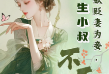 《夫君欲贬妻为妾，重生小叔不干了》完整版小说免费阅读-牛皮文学